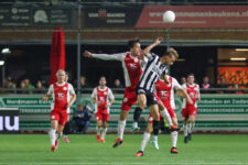 IJselmeervogels-VVG-135