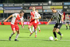 IJselmeervogels-VVG-150
