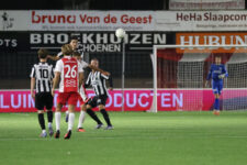 IJselmeervogels-VVG-191