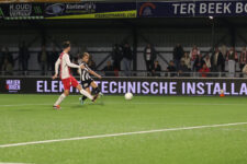 IJselmeervogels-VVG-194