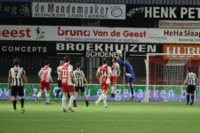 IJselmeervogels-VVG-207