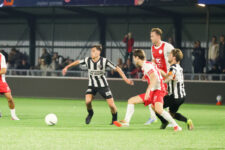 IJselmeervogels-VVG-208