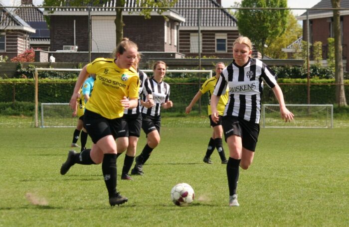 Spelbeeld Herten-Gemert
